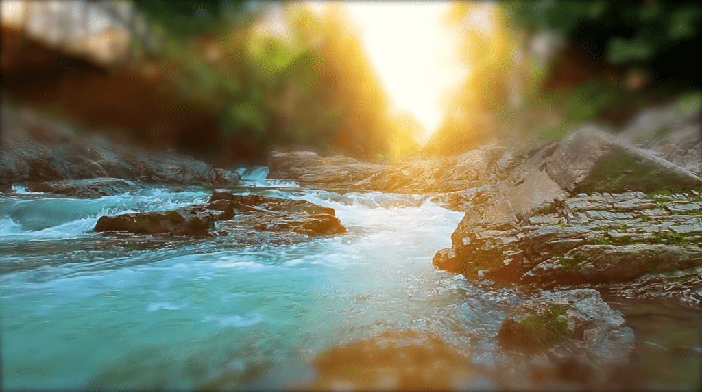 BlueArk Challenge: fostering innovation in water management