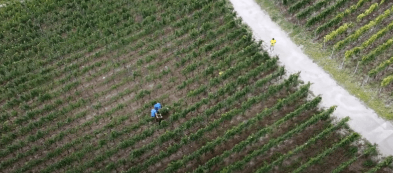 AQUA4D : un projet d’optimisation de l’irrigation des vignes sur la commune de Salquenen