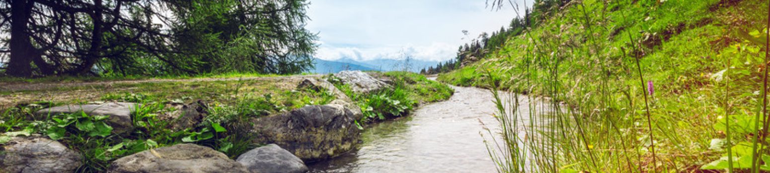 2014_Ete_TsittoretCransMontana_5_©Valais Wallis Promotion – Pascal Gertschen Bisse du Tsittoret en été